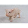 Standing Baby Pig Pink Animals