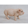 Standing Baby Pig Pink Animals