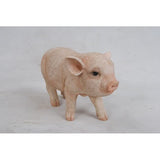 Standing Baby Pig Pink Animals