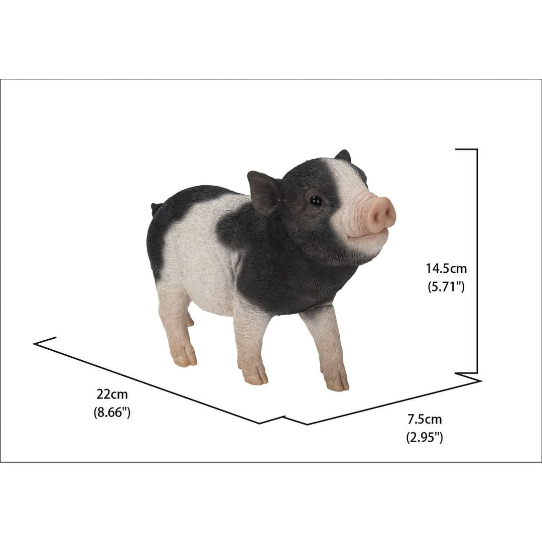 Baby Pig Standing Black and White Ultra Realistic Garden Statue