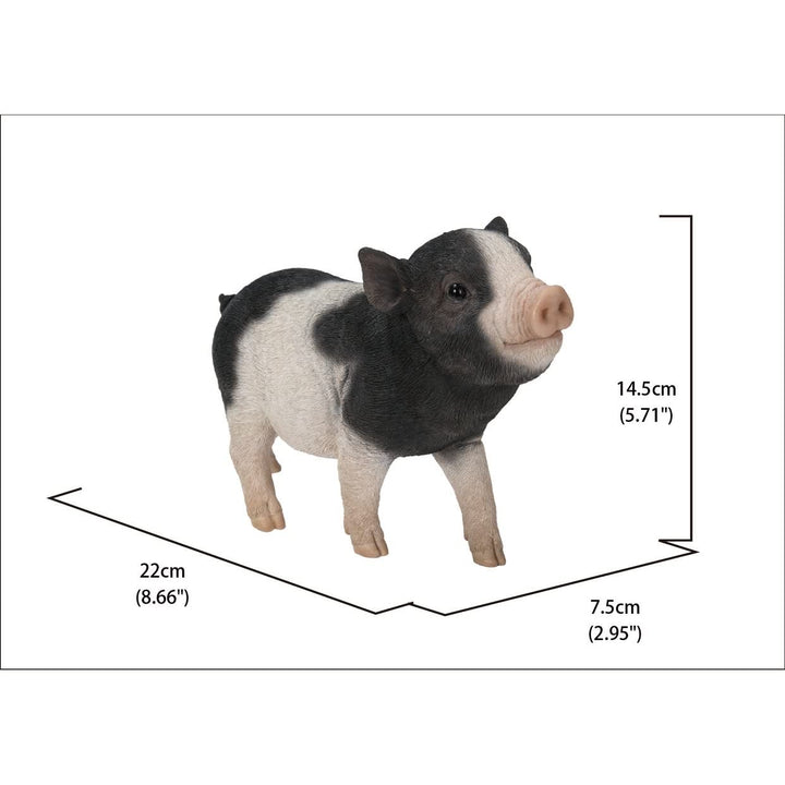 Baby Pig Standing Black and White Ultra Realistic Garden Statue