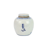 Blue and White Mini Jar Kids Playing Under Tree