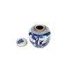 Blue and White Mini Jar Kids Playing Under Tree