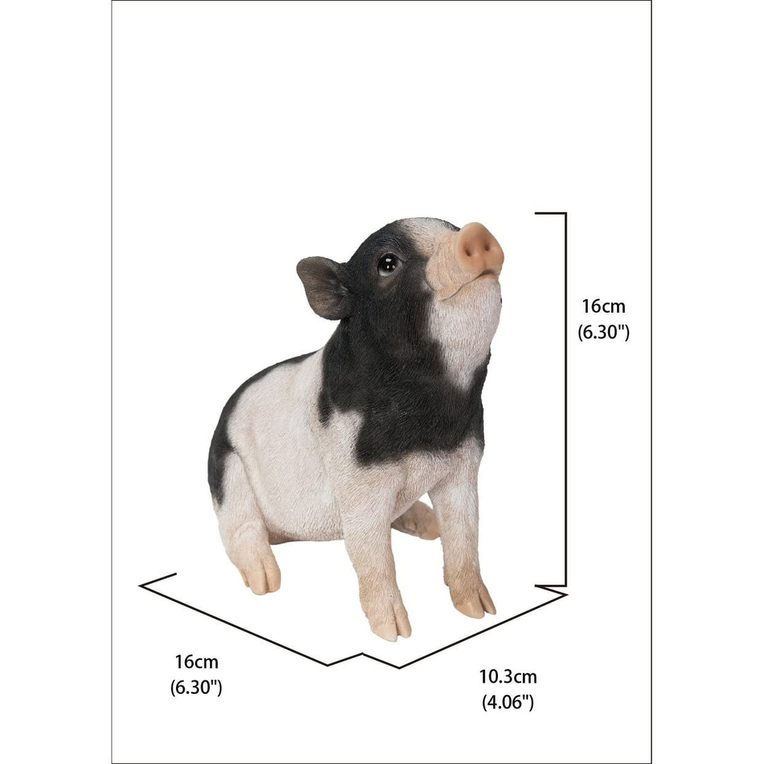 Baby Pig Sitting Black and White Ultra Realistic Garden Statue Multi