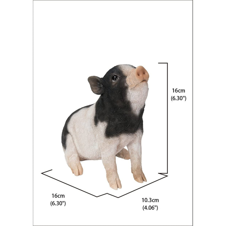 Baby Pig Sitting Black and White Ultra Realistic Garden Statue Multi