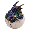 4" h Purple Dragon Baby in Egg Fantasy Decoration Figurine Polyresin