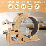 4-in-1 Upgraded Cat Running Wheel Exerciser Large Treadmill