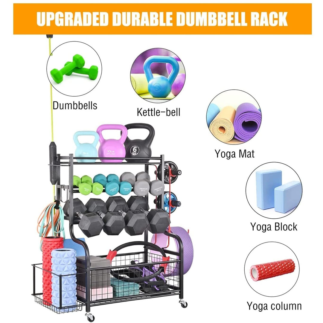 Dumbbell Rack Weight For Dumbbells Home Gym Storage Mat And Balls