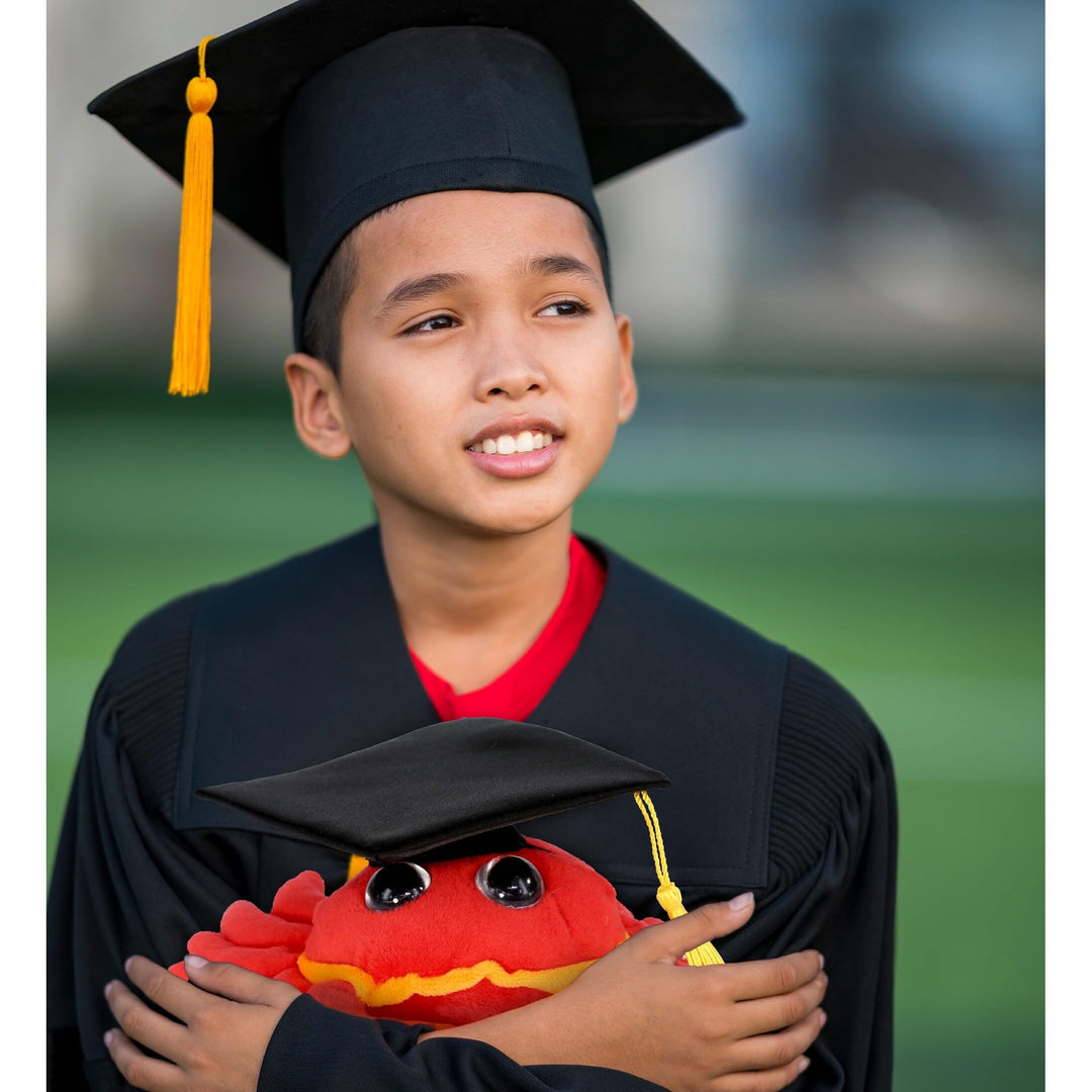 Red Crab Graduation Plush Toy with Cap 6 Inches Black