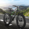 26 in. 21 Speed Steel Mountain Bike with Fat Tire Black