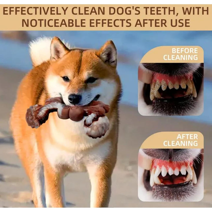 Durable Beef-Flavored Crab-Shaped Dog Chew Toy Brown