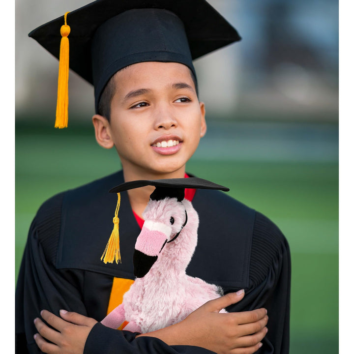 Pink Flamingo Graduation Plush with Cap Tassel 10 Inches Black