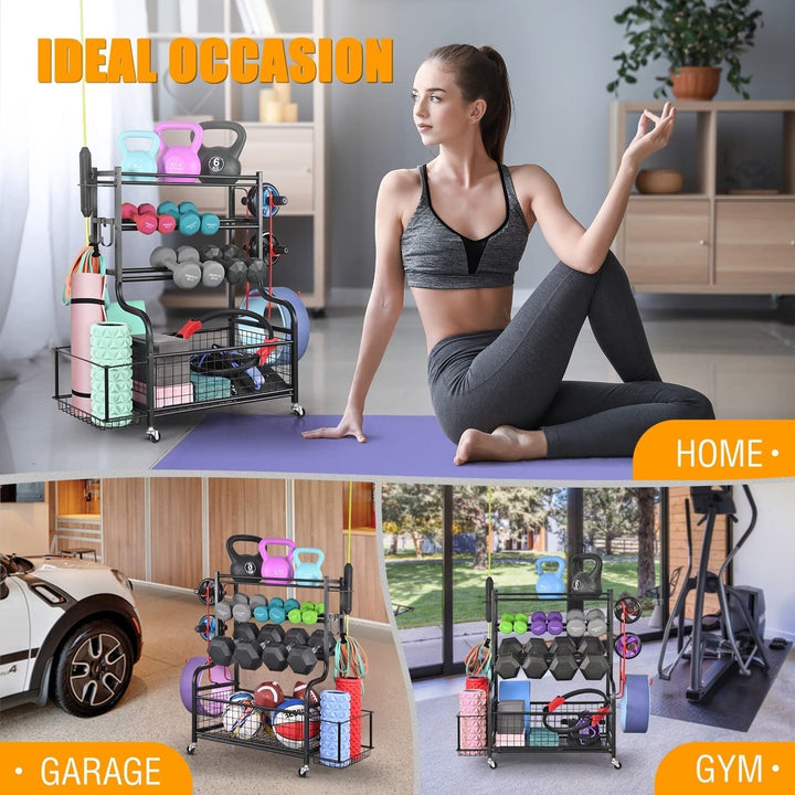 Dumbbell Rack Weight For Dumbbells Home Gym Storage Mat And Balls