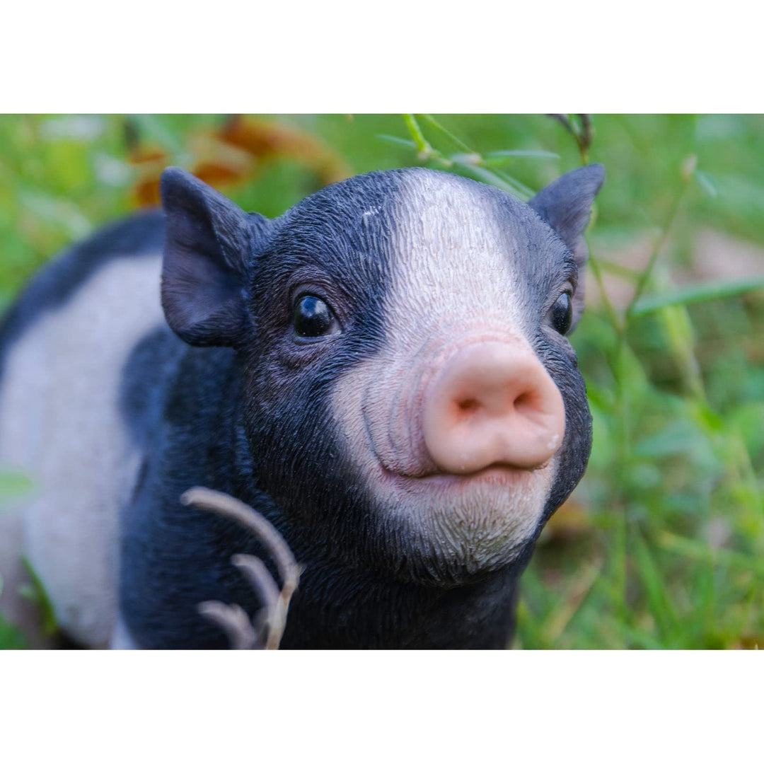 Baby Pig Standing Black and White Ultra Realistic Garden Statue