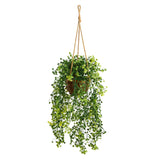 Nearly Natural 20in. Baby Tear Artificial Plant in Hanging Basket