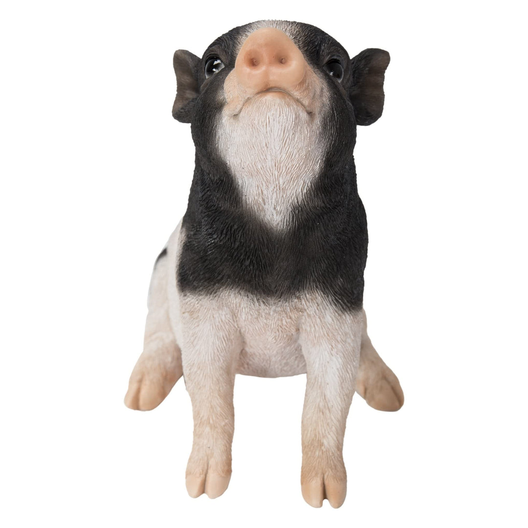 Baby Pig Sitting Black and White Ultra Realistic Garden Statue Multi Color Polyresin