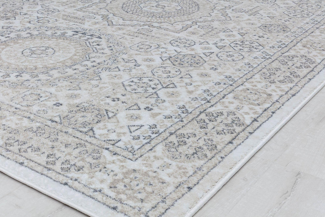 Hailey Geometric Medallion Traditional Area Rug by Rugs America