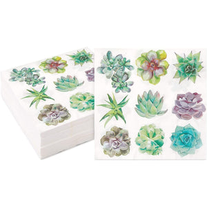 Succulent Paper Napkins for Birthday Party (6.5 in Pack) White Floral Square Bamboo