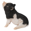 Baby Pig Sitting Black and White Ultra Realistic Garden Statue Multi