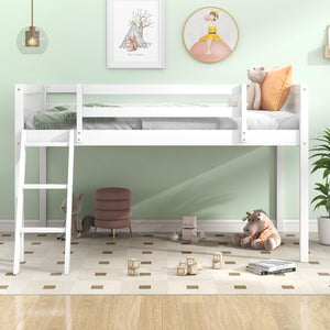 Wood Frame Guardrail Design Twin Size Low Loft Bed Ladder Kids White Grey Modern Contemporary