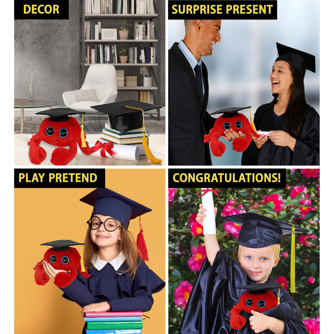 Red Crab Graduation Plush Toy with Cap 9.5 Inches Black