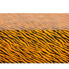 Tiger Print Tablecloths for Jungle Safari Birthday rty (54 X in 4