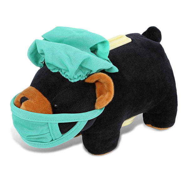 Black Bear Doctor Plush Bank with Cute Scrub Uniform and Cap 9 Inches Green Polyester