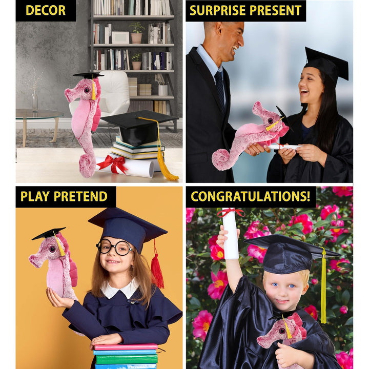 Pink Seahorse Graduation Plush with Cap Tassel 15 Inches Black