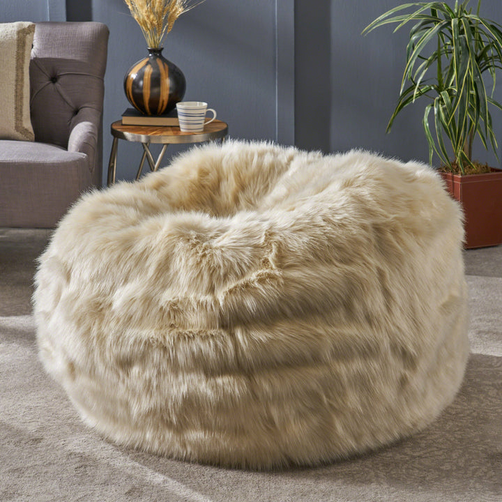 Christopher Knight Home Laraine Furry Glam and Streak Faux